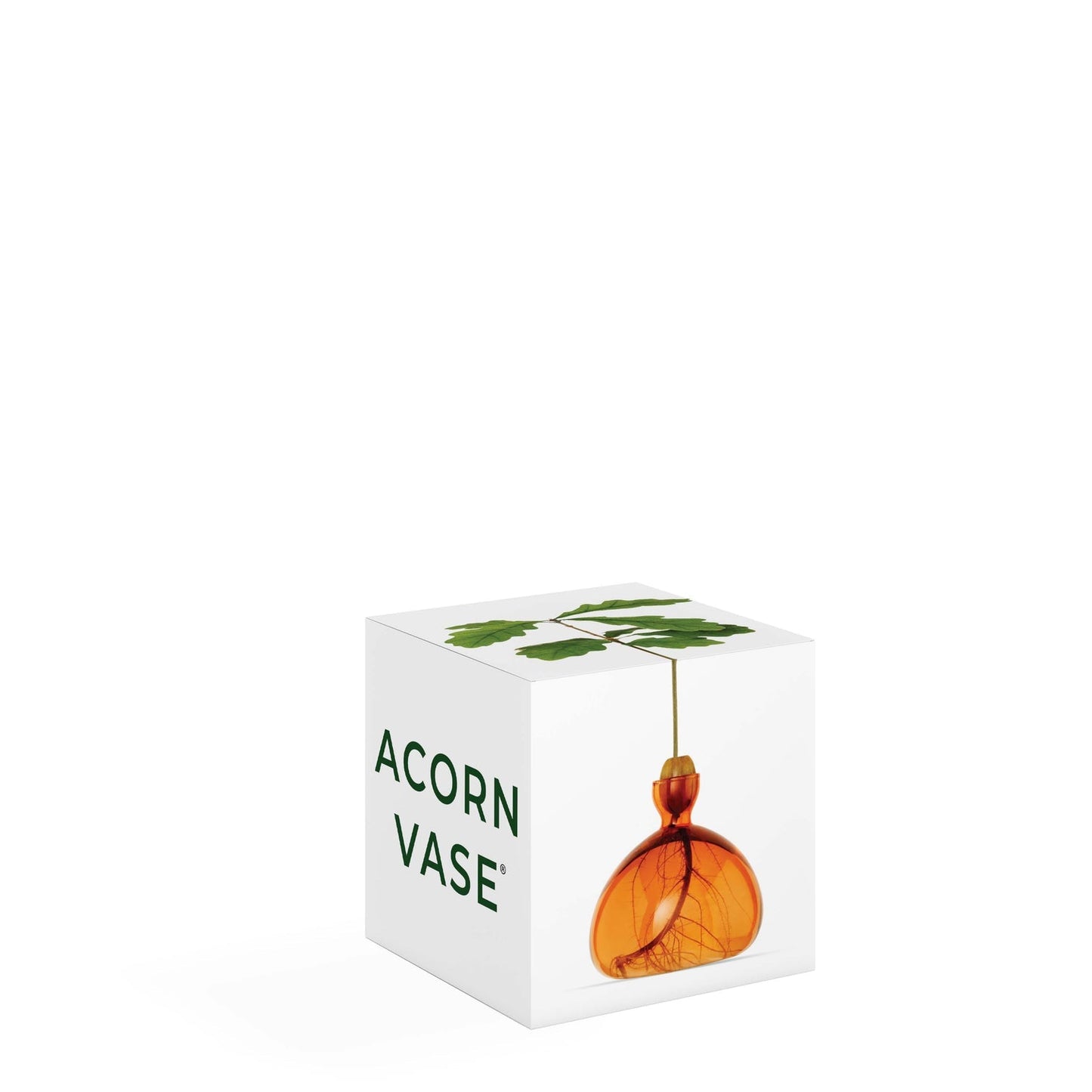Acorn Vase