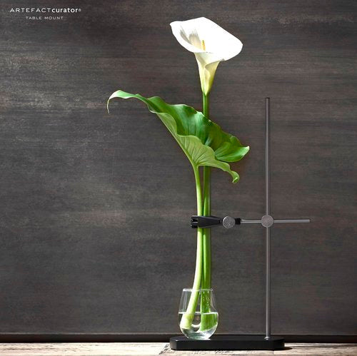 
                      
                        The Table Mount Vase by Artefact
                      
                    