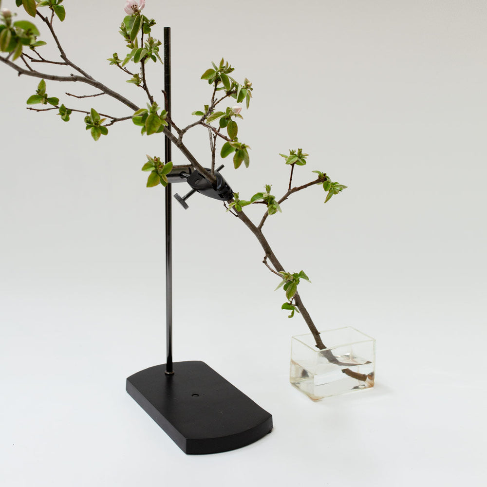 
                      
                        The Table Mount Vase by Artefact
                      
                    