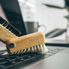 Laptop Brush by Redecker